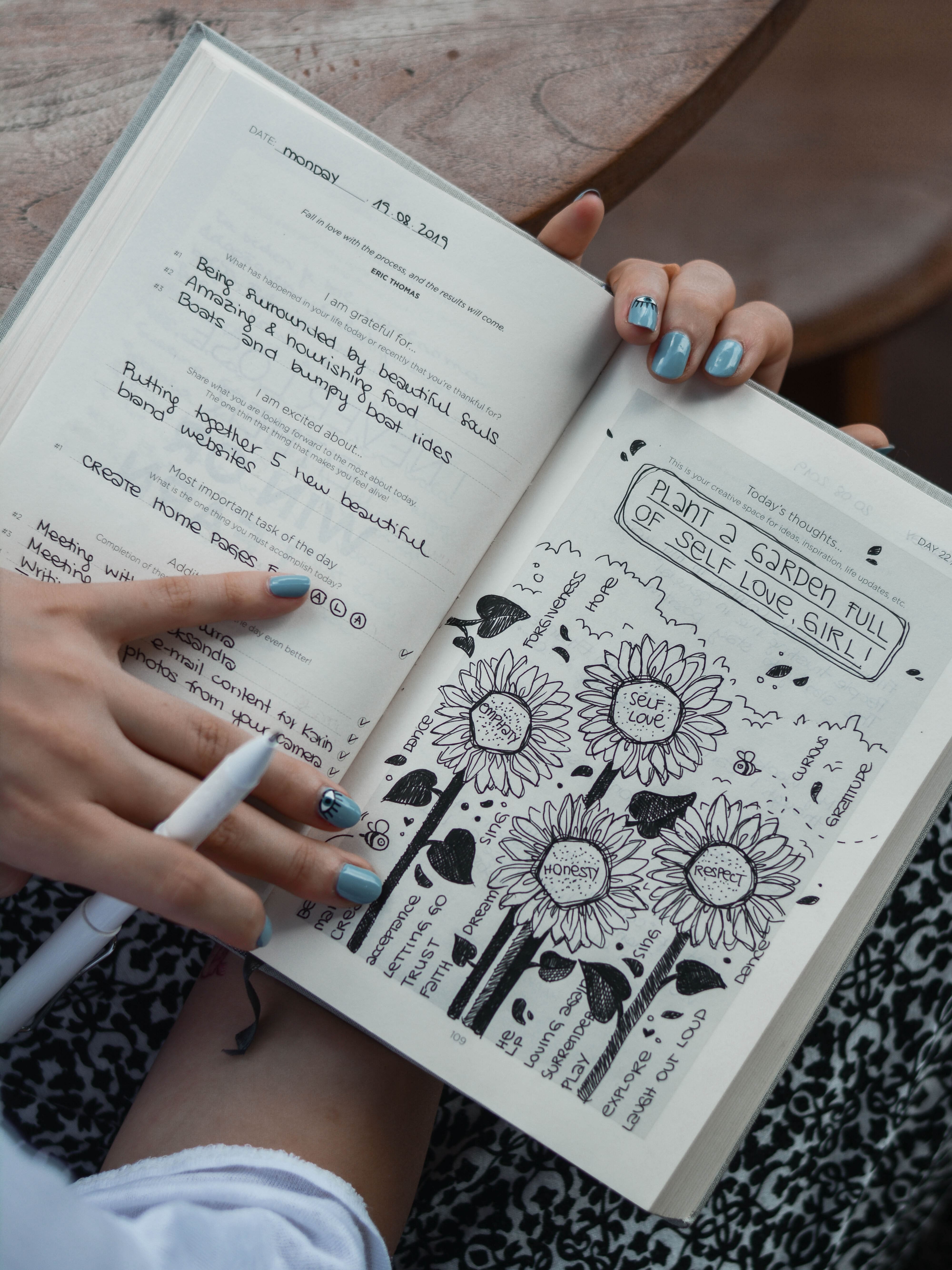 diaries types and different types of diaries