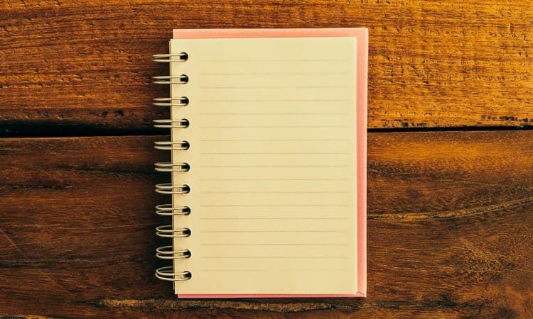 steno notebook