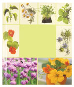 Full-Color Hard-Bound 1 Sided Casebound Journals