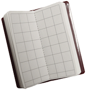 graph griddedd tally book